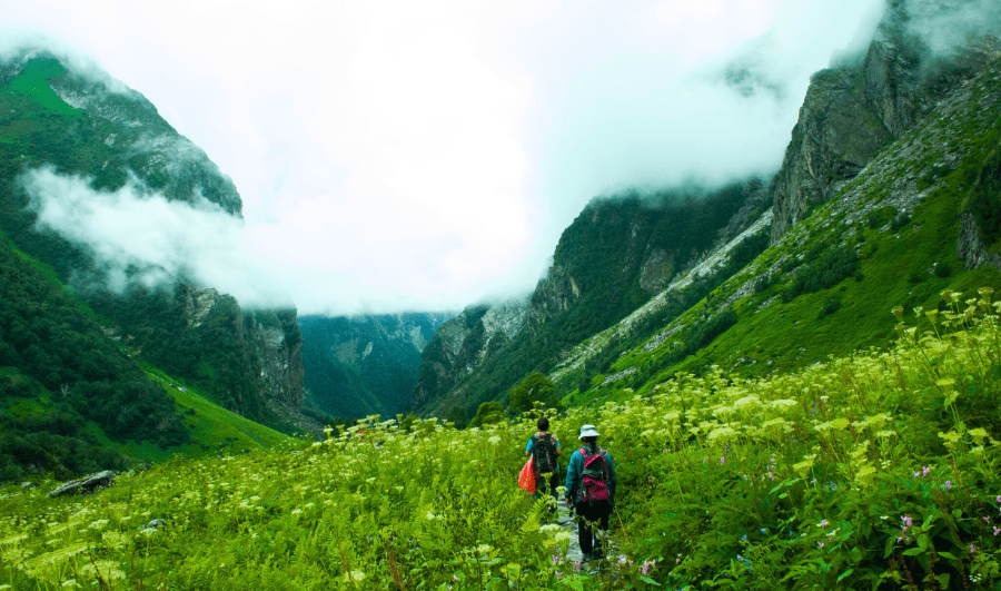 Valley of Flowers Trek