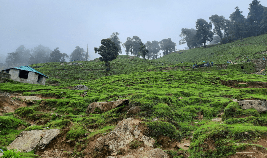 Chopta Trek