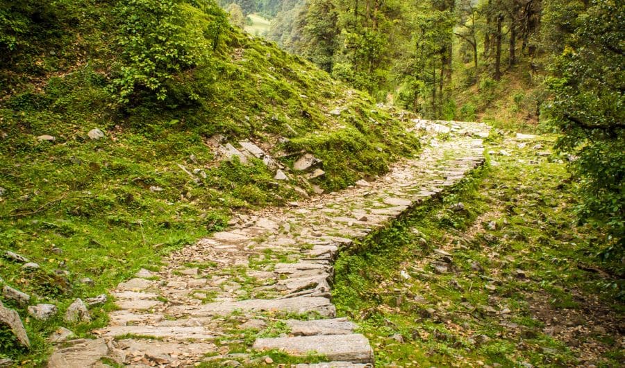 Dayara Bugyal Trek