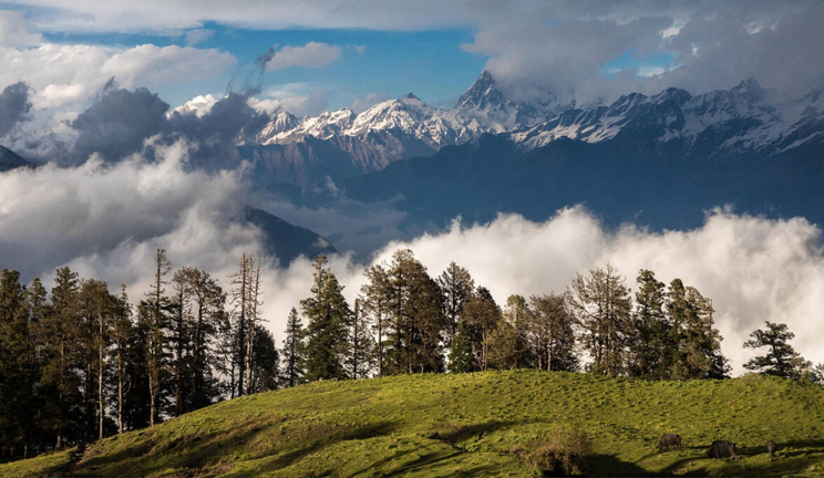 Valley of Flowers Trek