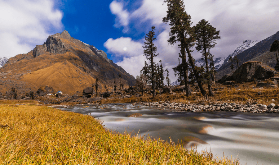 Valley of Flowers Trek