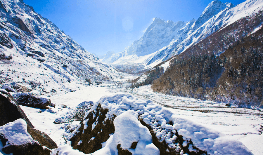 Valley of Flowers Trek