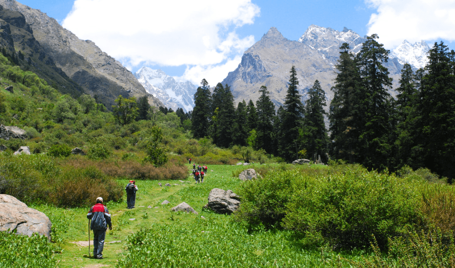 Valley of Flowers Trek