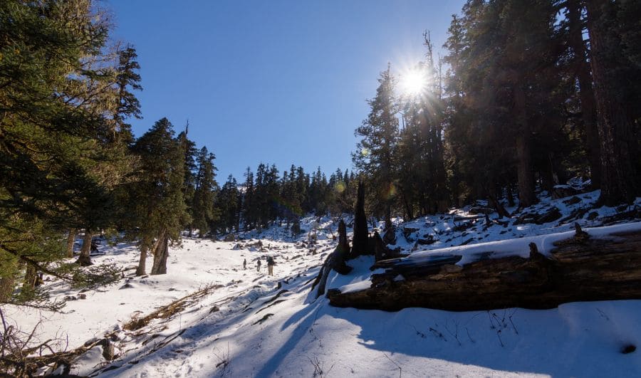 Kuari Pass Trek